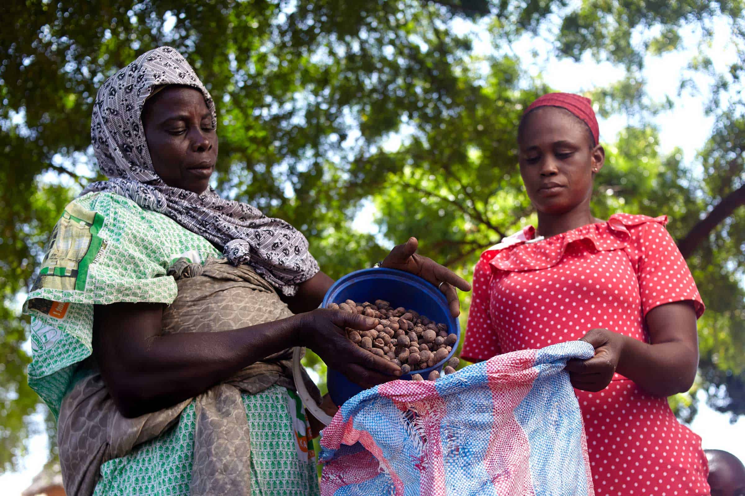 Creating Livelihood Opportunities for Young People in Oromia
