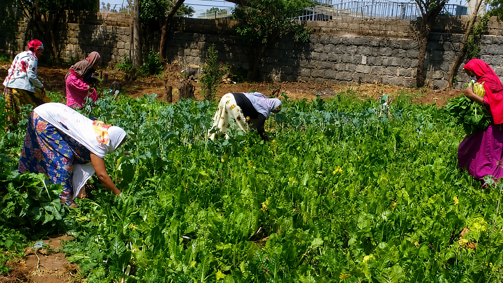 Nutrition for Vulnerable Communities